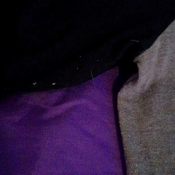 Hogwarts Houses Long Sleeve with 4 mascots/glitter lettering - Picture 7 of 7